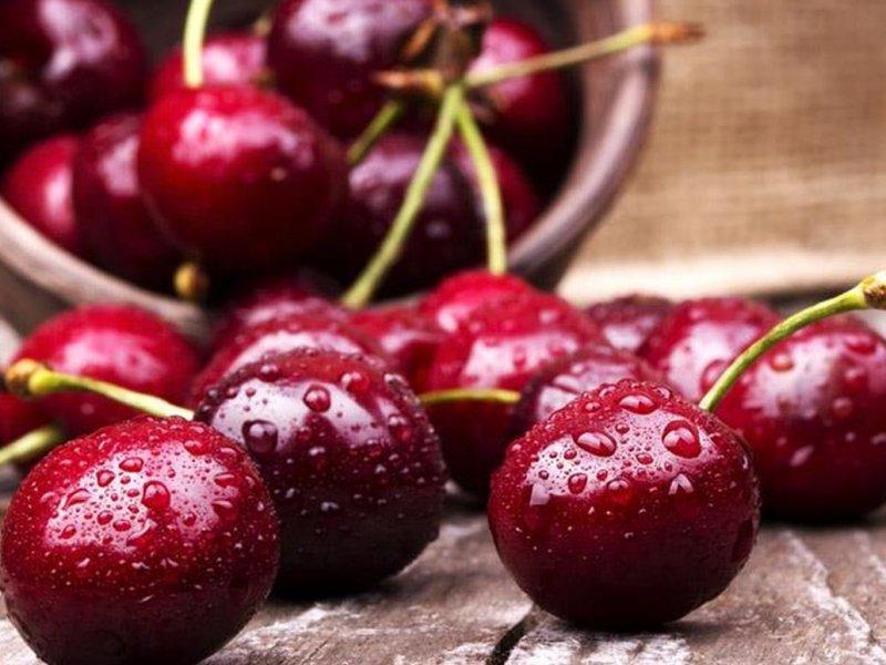 Вишня купить саженцы из питомника в Ростове-на-Дону